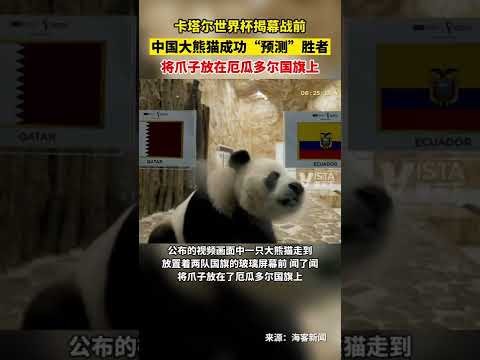 体育场负责,人怒批澳板,昔日恩怨再,皇冠登录入口,皇冠平台,皇冠注册网址,皇冠app,皇冠官网,皇冠网站,皇冠网页版