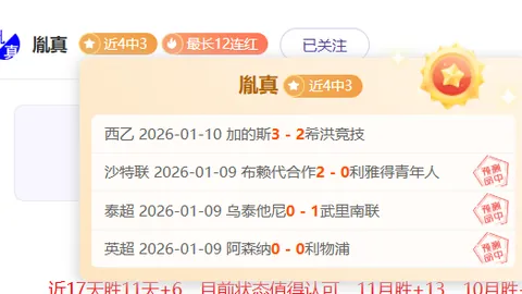 波鸿与多特1：1握手言和，布兰特替补登场亮点频出，哈兰德贡献神助攻